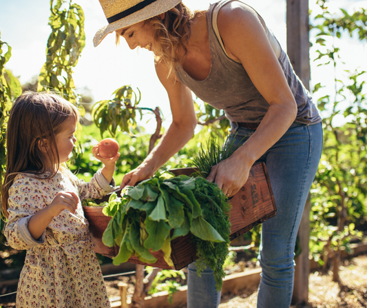 The Real Cost of Organic Produce: A Health Investment That Pays Off