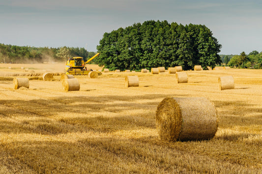 Can organic farmers use fertilizers?