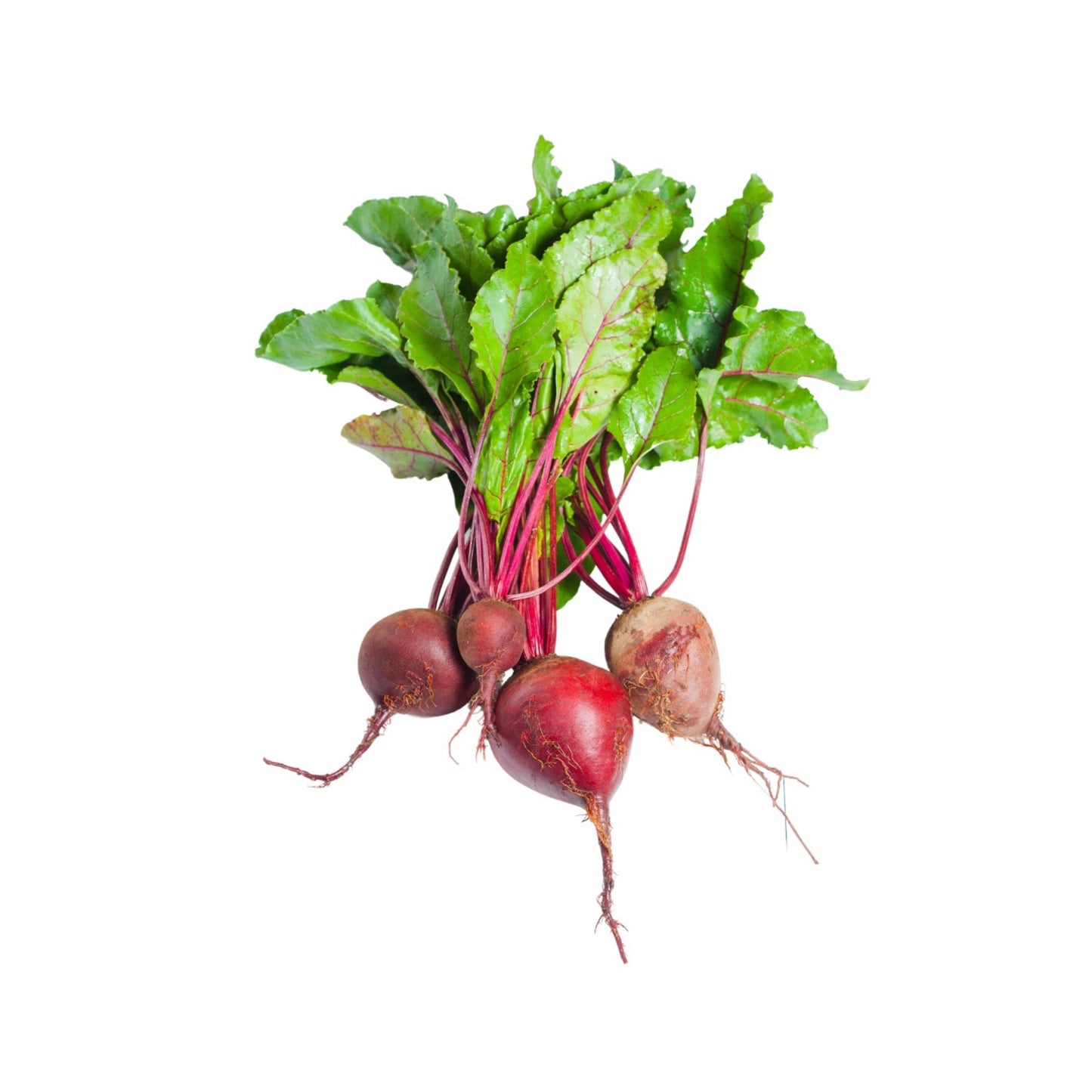 600g Organic Baby Beetroot