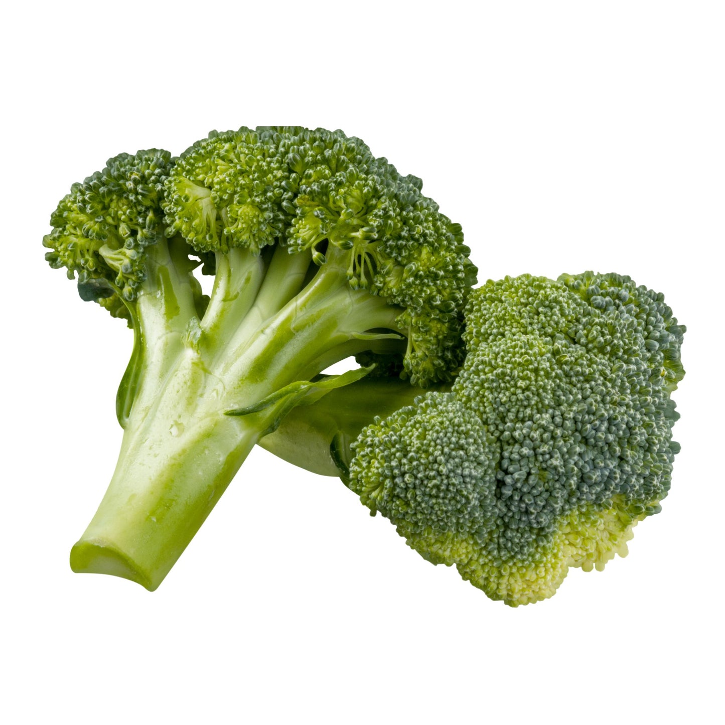 Organic Broccoli