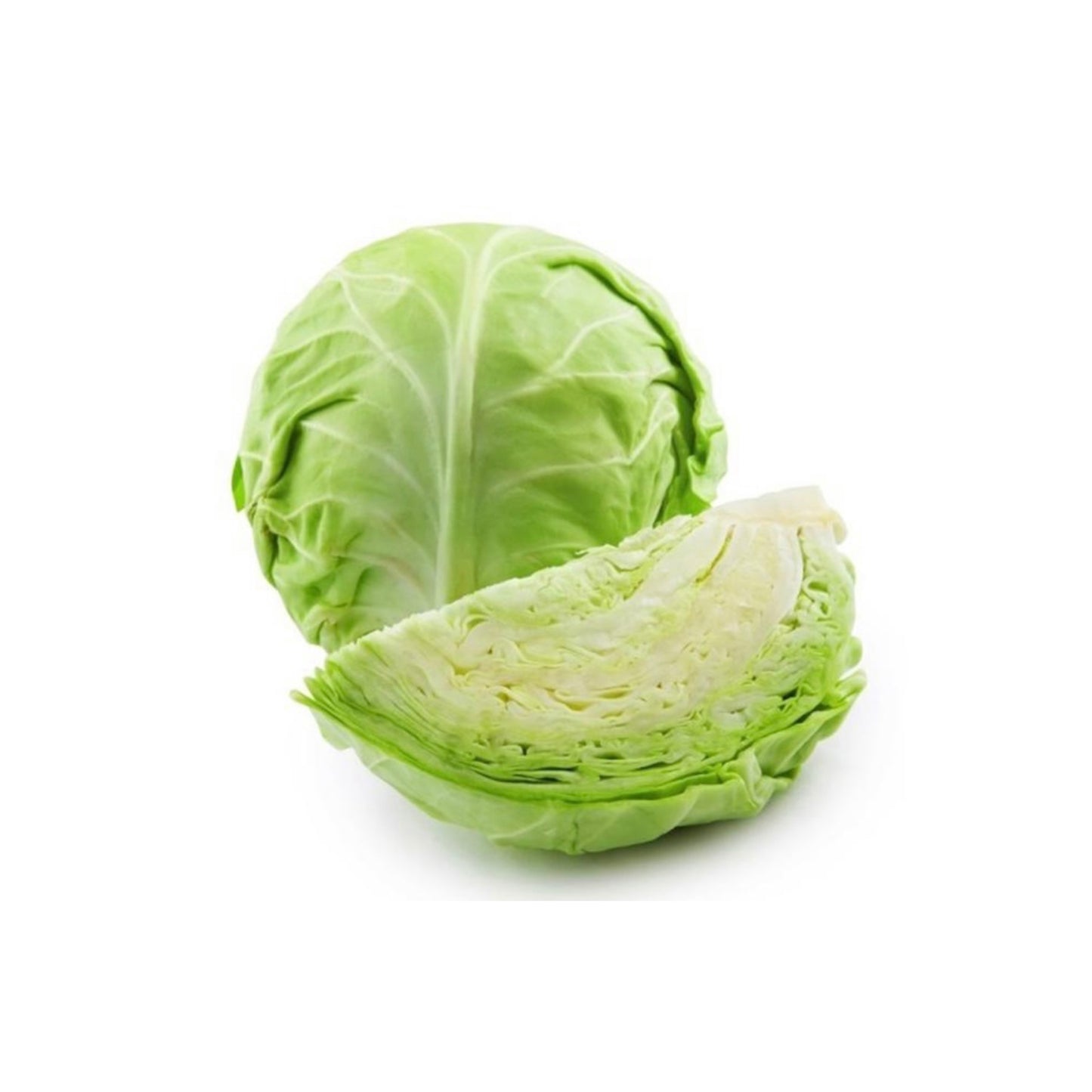 Organic Green Cabbage