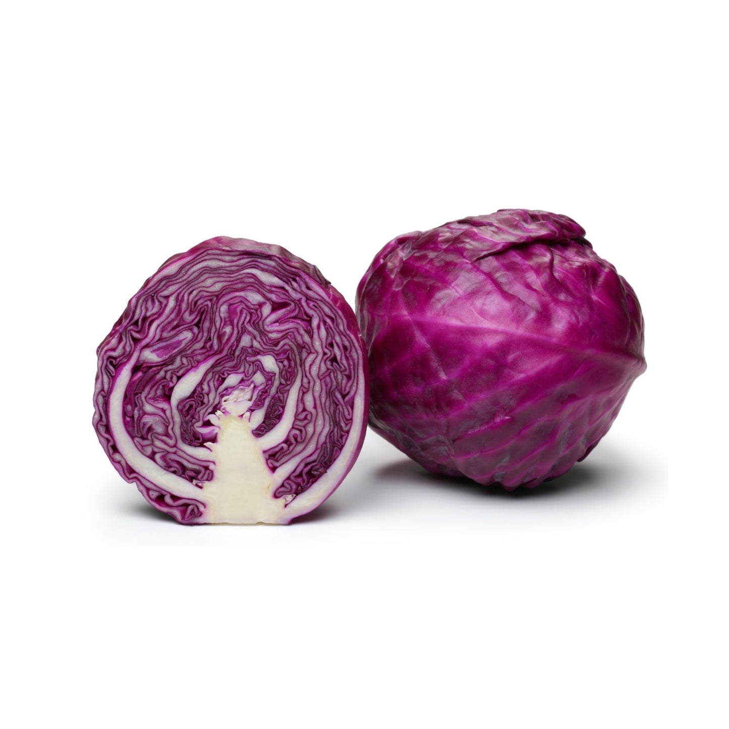 Organic Red Baby Cabbage