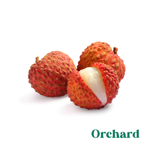 250g Organic Litchis